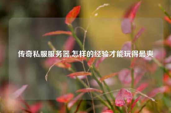传奇私服服务器,怎样的经验才能玩得最爽