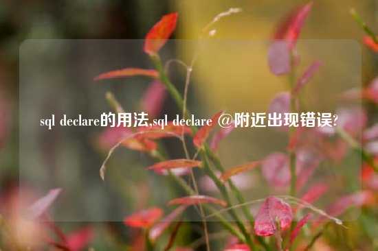 sql declare的用法,sql declare @附近出现错误?