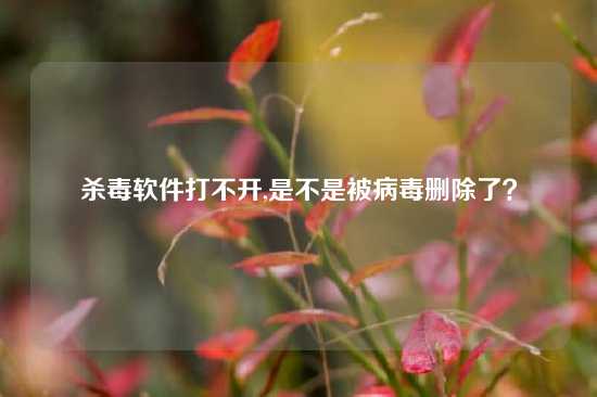 杀毒软件打不开,是不是被病毒删除了？