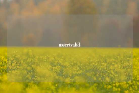 assertvalid