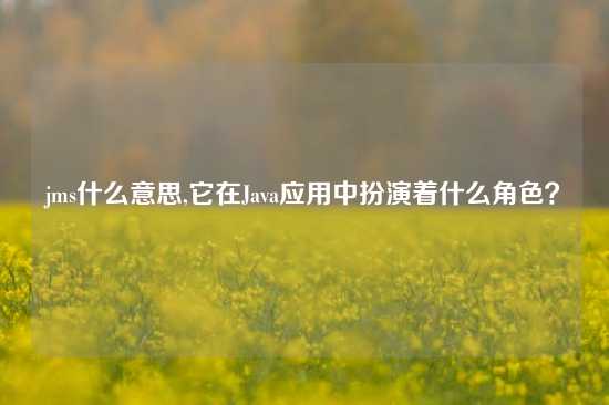 jms什么意思,它在Java应用中扮演着什么角色？