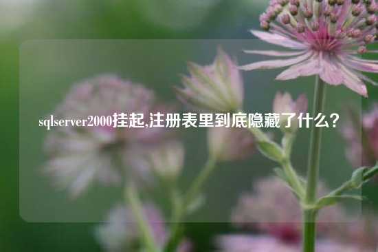sqlserver2000挂起,注册表里到底隐藏了什么？