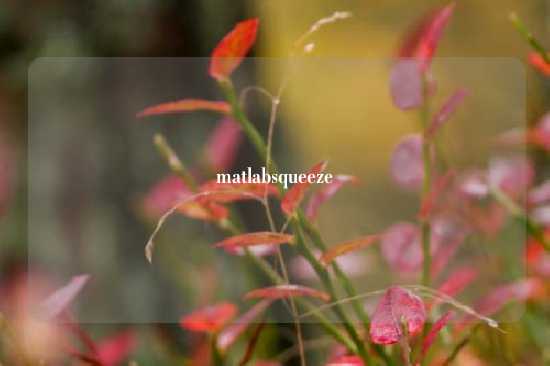matlabsqueeze