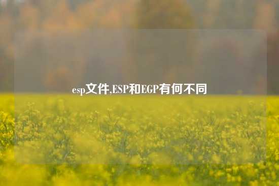 esp文件,ESP和EGP有何不同