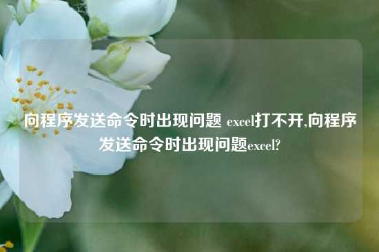 向程序发送命令时出现问题 excel打不开,向程序发送命令时出现问题excel?