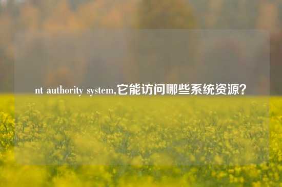 nt authority system,它能访问哪些系统资源？