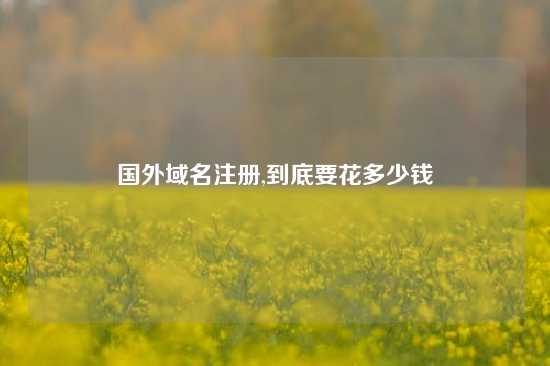 国外域名注册,到底要花多少钱