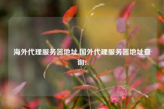 海外代理服务器地址,国外代理服务器地址查询?