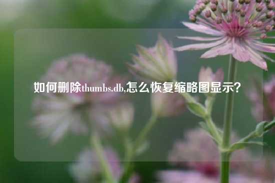 如何删除thumbs.db,怎么恢复缩略图显示？