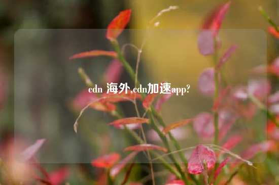 cdn 海外,cdn加速app?