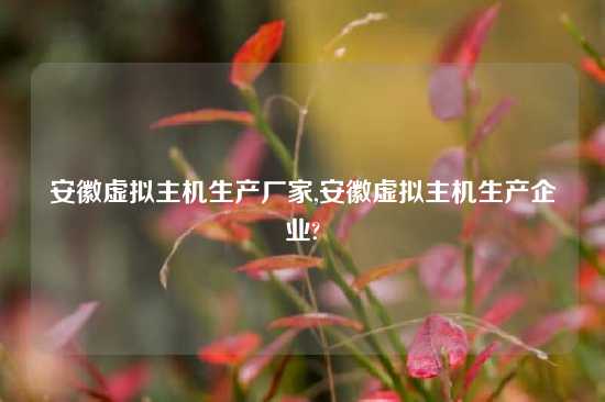 安徽虚拟主机生产厂家,安徽虚拟主机生产企业?