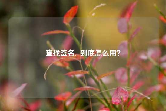 查找签名,  到底怎么用？