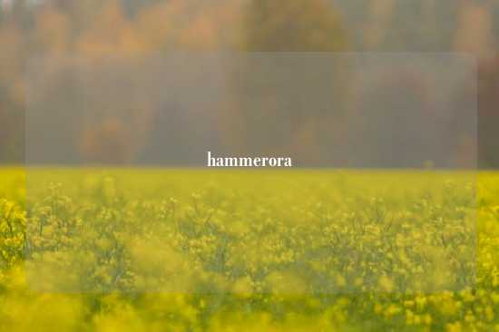 hammerora