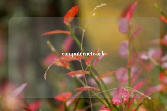 computernetwork