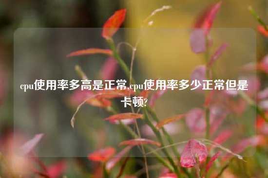 cpu使用率多高是正常,cpu使用率多少正常但是卡顿?