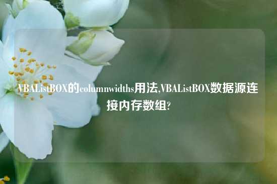 VBAListBOX的columnwidths用法,VBAListBOX数据源连接内存数组?