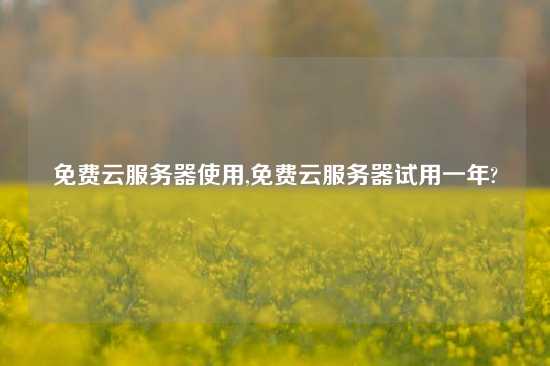 免费云服务器使用,免费云服务器试用一年?