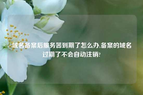 域名备案后服务器到期了怎么办,备案的域名过期了不会自动注销?