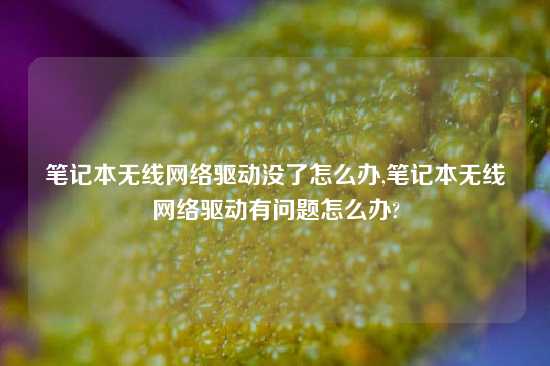 笔记本无线网络驱动没了怎么办,笔记本无线网络驱动有问题怎么办?