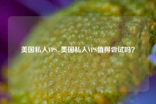 美国私人VPS, 美国私人VPS值得尝试吗？