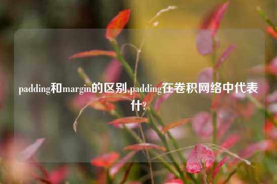 padding和margin的区别,padding在卷积网络中代表什?