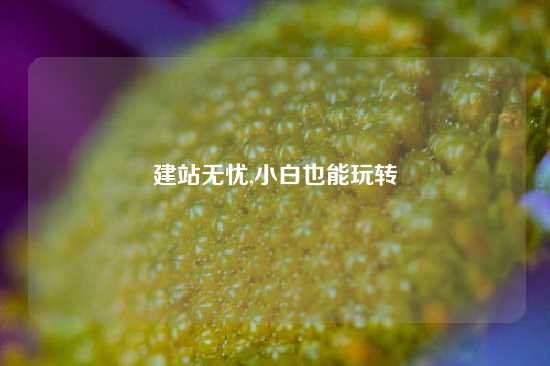 建站无忧,小白也能玩转