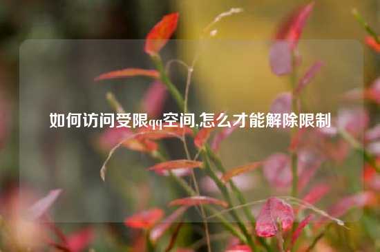如何访问受限qq空间,怎么才能解除限制