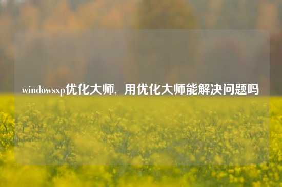 windowsxp优化大师,  用优化大师能解决问题吗