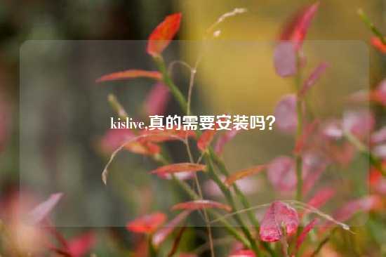 kislive,真的需要安装吗？