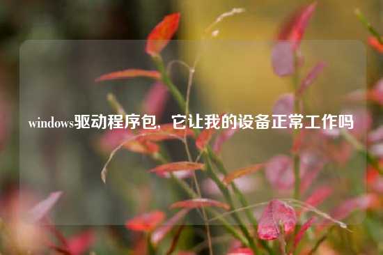 windows驱动程序包,  它让我的设备正常工作吗