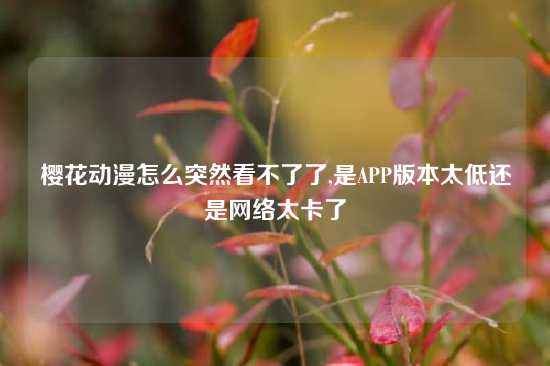 樱花动漫怎么突然看不了了,是APP版本太低还是网络太卡了