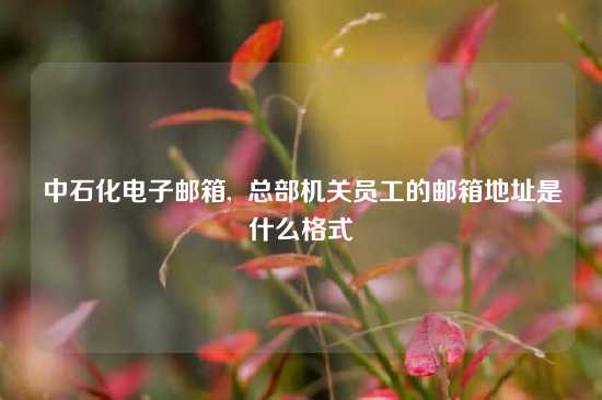 中石化电子邮箱,  总部机关员工的邮箱地址是什么格式
