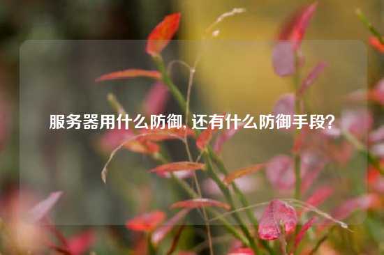 服务器用什么防御, 还有什么防御手段？
