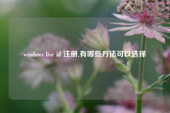 windows live id 注册,有哪些方法可以选择
