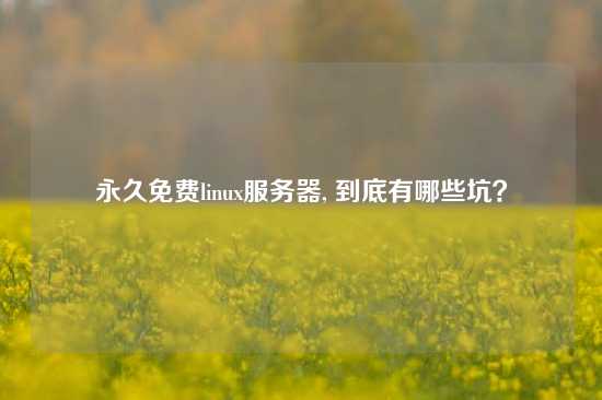 永久免费linux服务器, 到底有哪些坑？