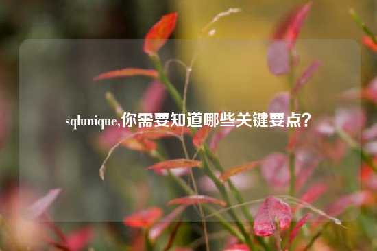 sqlunique,你需要知道哪些关键要点？