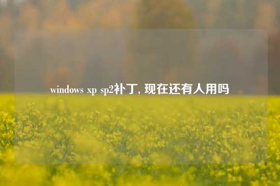 windows xp sp2补丁, 现在还有人用吗