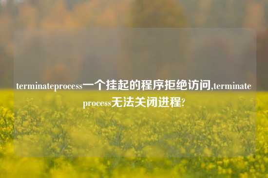 terminateprocess一个挂起的程序拒绝访问,terminateprocess无法关闭进程?