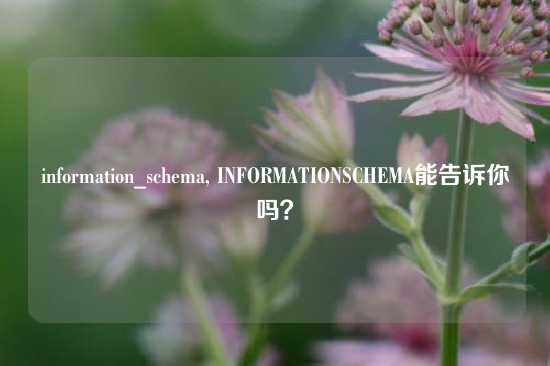 information_schema, INFORMATIONSCHEMA能告诉你吗？