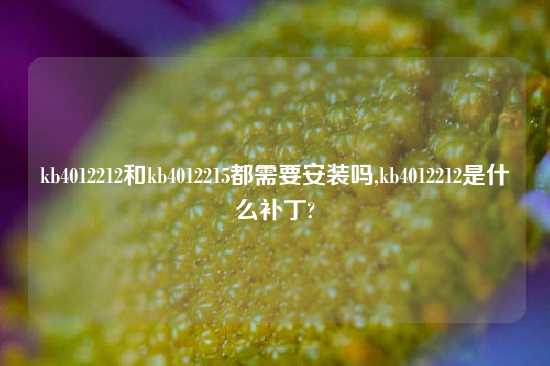 kb4012212和kb4012215都需要安装吗,kb4012212是什么补丁?