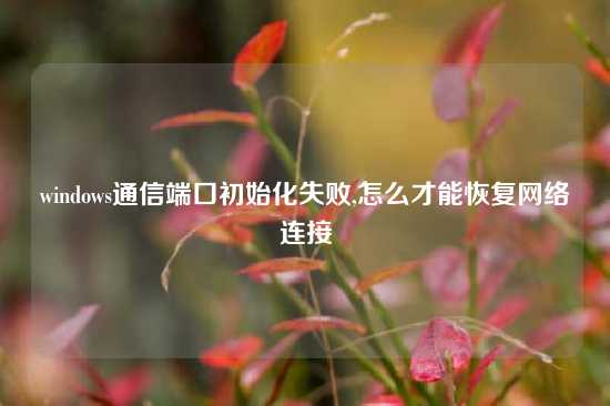 windows通信端口初始化失败,怎么才能恢复网络连接