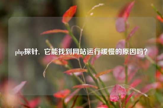 php探针,  它能找到网站运行缓慢的原因吗？