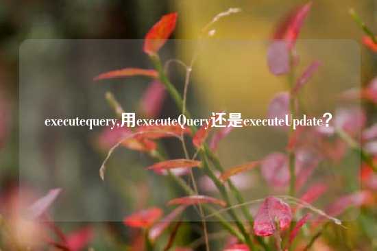 executequery,用executeQuery还是executeUpdate？
