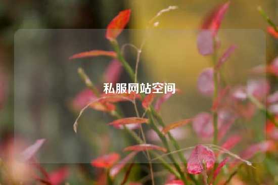 私服网站空间