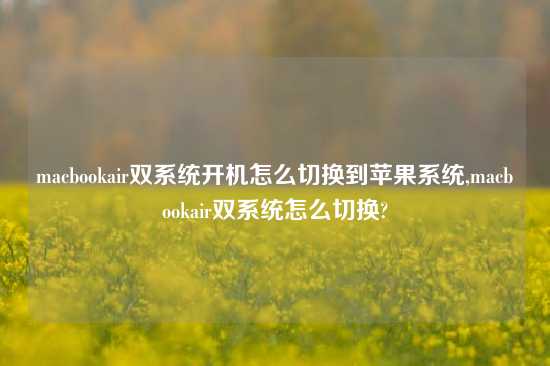 macbookair双系统开机怎么切换到苹果系统,macbookair双系统怎么切换?
