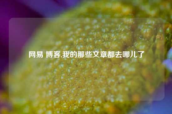 网易 博客,我的那些文章都去哪儿了