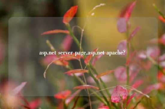 asp.net server page,asp.net apache?