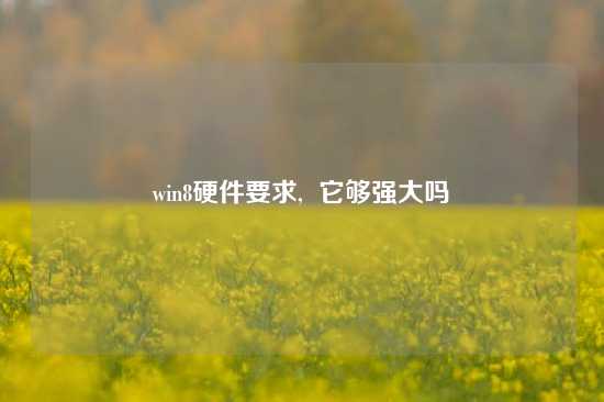 win8硬件要求,  它够强大吗