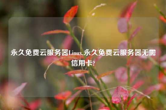 永久免费云服务器Linux,永久免费云服务器无需信用卡?