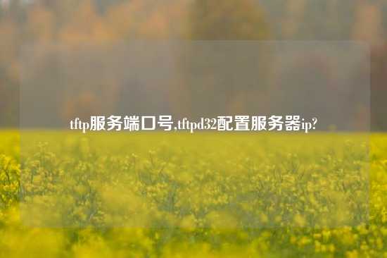 tftp服务端口号,tftpd32配置服务器ip?